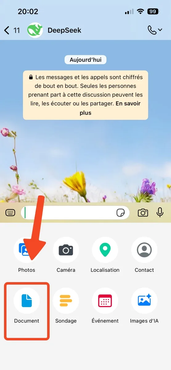 Telecharger document whatsapp