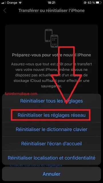Options reanistialier iphone